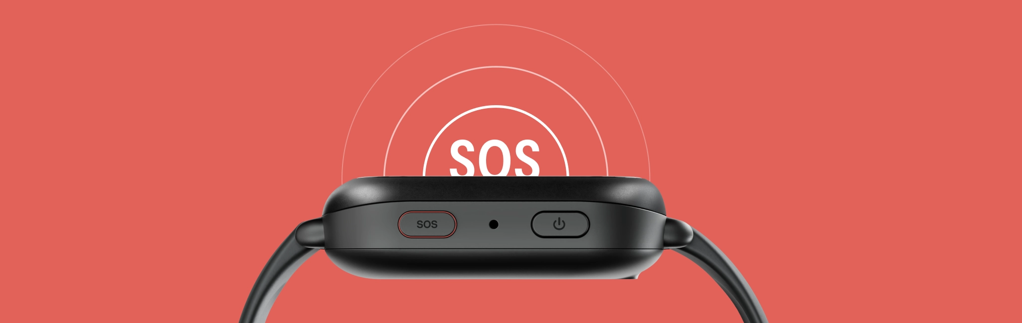 Bark Watch — additional view 1