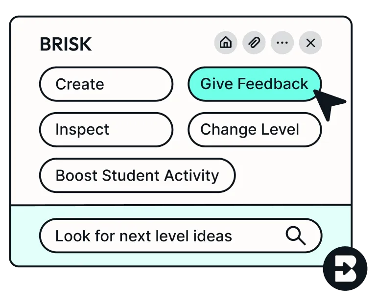 Brisk Teaching in use