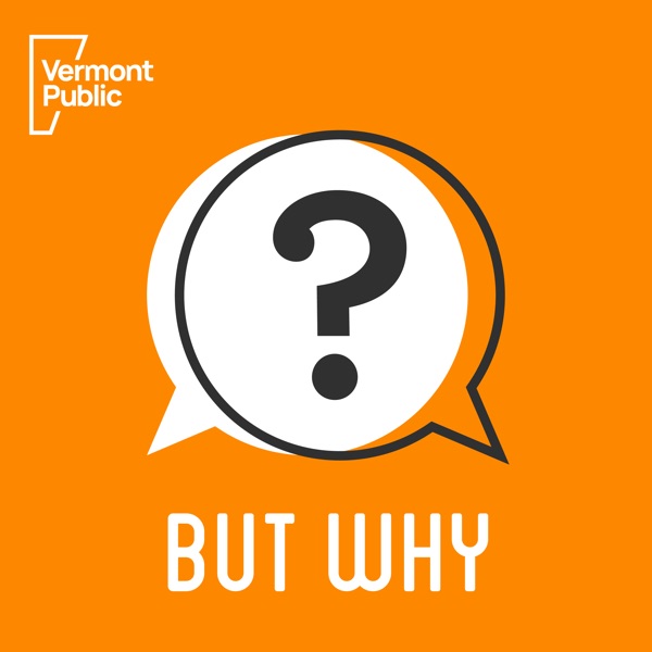 But Why: A Podcast for Curious Kids in use