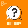 But Why: A Podcast for Curious Kids — additional view 1