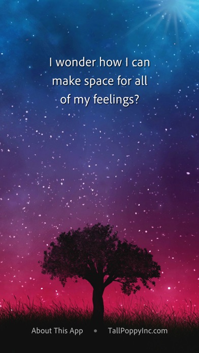 Hello Wonder (acquired) — additional view 1