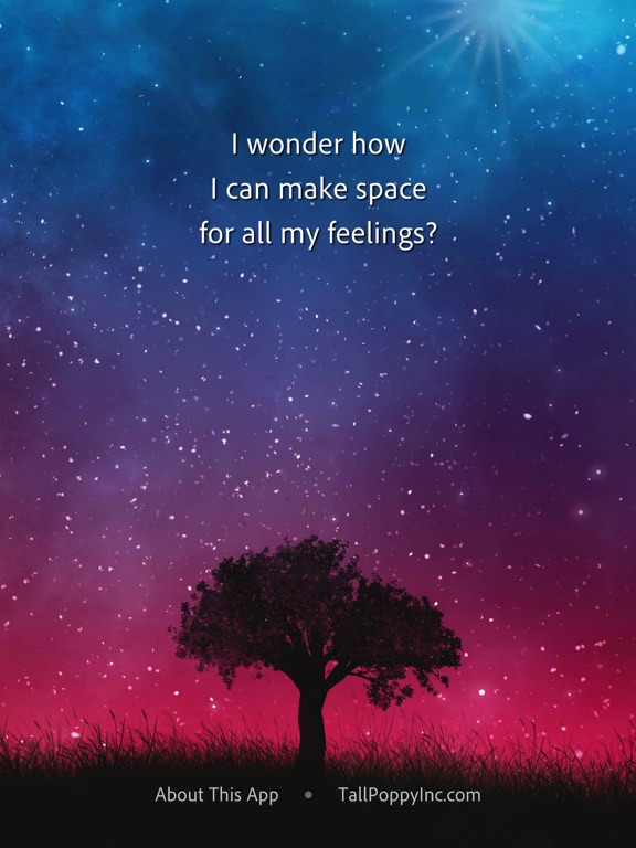 Hello Wonder (acquired) — additional view 3