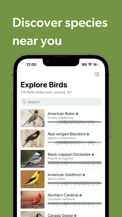 Merlin Bird ID — additional view 3