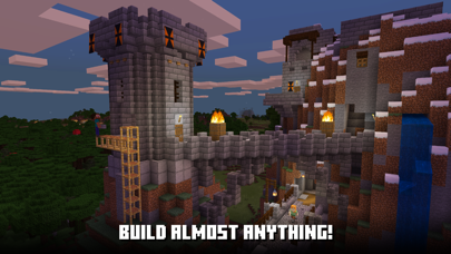 Minecraft — additional view 1