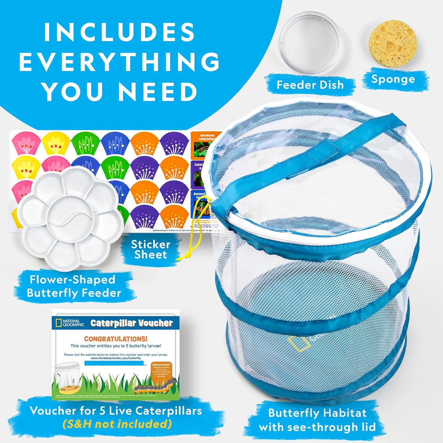 National Geographic Butterfly Garden — additional view 2