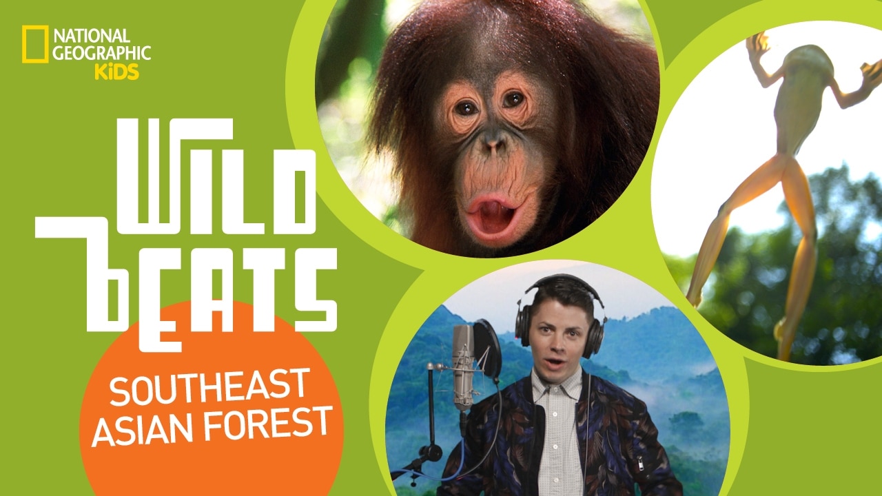 National Geographic Kids Education in use