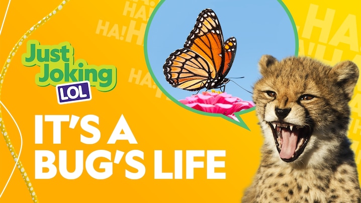 National Geographic Kids Education — additional view 2