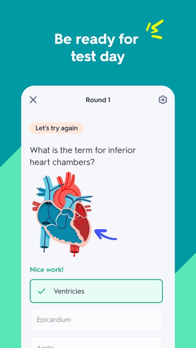Quizlet — additional view 3