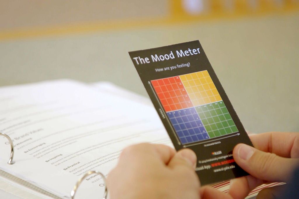 RULER — additional view 1