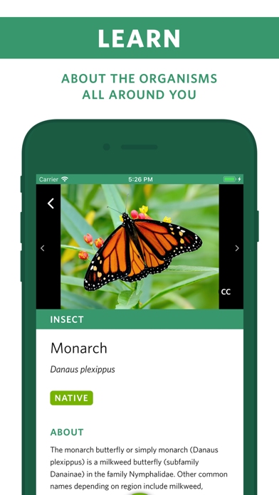 Seek by iNaturalist — additional view 2
