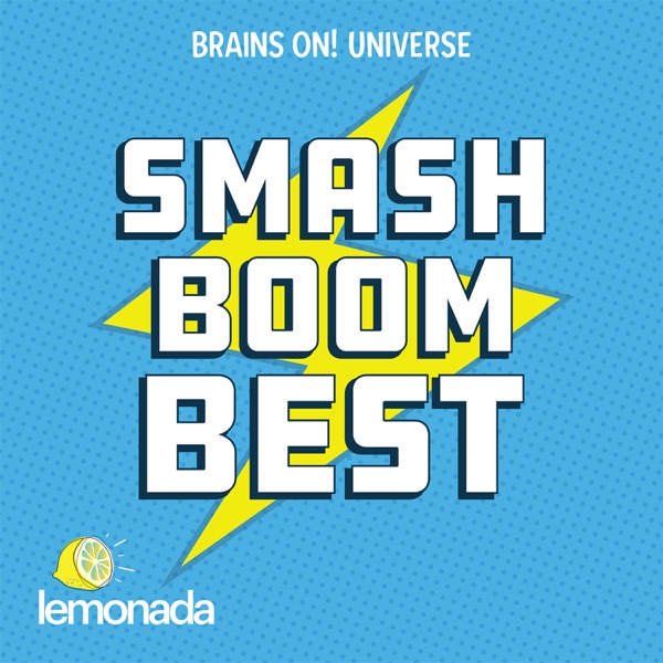 Smash Boom Best in use